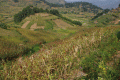 Kohjun HORI【Slope Farming and Land Use in the Densely Populated Mountain Region of Southwestern Uganda】
